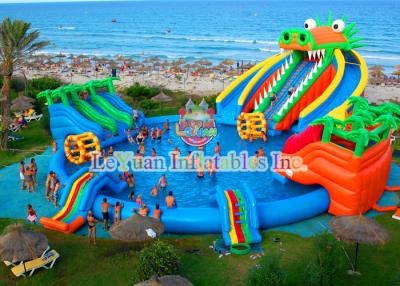 China Dinosaur Inflatable Water Slides Double Stitching Quadrupl Stithing  Reinforcement for sale