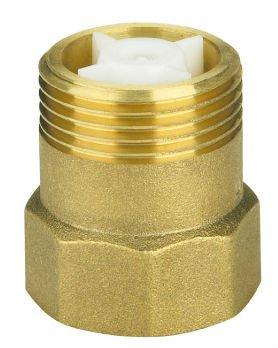 China Brass Spout Check Valve for sale