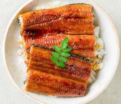 China Low-CARB Sushi Eel is directly supplied from factory, with high quality and delicious taste. Frozen boiled eel, roasted eel and whole E for sale