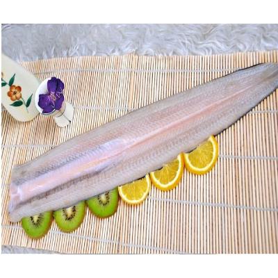 China Transport Free Factory Direct Supplied Frozen Gutted Eel Fillet, Butterfly, Headless, Boneless for sale