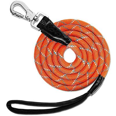 China Safty Durable Custom Nylon Training Rope Dog Leash Padded Dog Handle Pet Lead Running and Walking Leash for sale