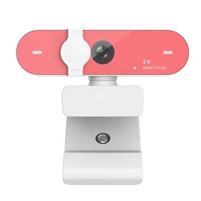 China Plastic ABS C19Pro 2k Webcam 4MP QHD USB 2.0 Webcamera 60fps Auto Focus Laptop PC Camera Live Stream Camera for sale