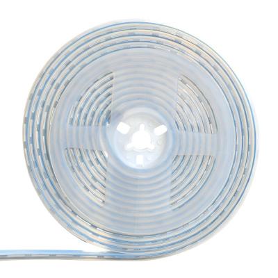 China 6W 8W 10W 12W 12V Flexible LED Strip Light SMD 5050 RGB Multi Colors 300 LEDs for sale