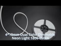 led neon lights  0410 dual color