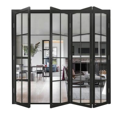 China Durable Modern Double Glass Water Proof Large Glass Garage Internal Front Door Waterproof for sale