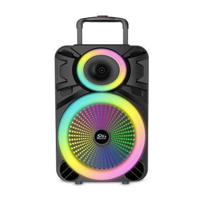 China SING-E ZQS12121 12 Inch Portable Trolley Subwoofer Speaker With Colorful RGB Lights 60W Deep Bass Support Dual Wireless Mic for sale