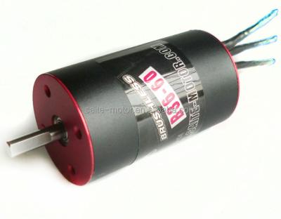 China Brushless RC Hobby RC Car Motor 2 Poles Hobby RC Car Brushless Motor 3660 DC 3500KV Motor for sale