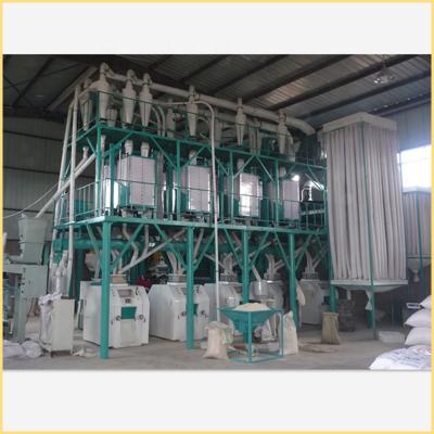 China Grain Processing Equipment International Standard Wheat Flour Mill Plant For Whole Wheat Flour for sale