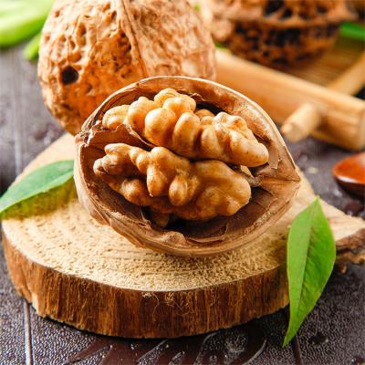 China Non-Extra In Shell Freshly Harvested Aged Elder Walnuts In Shell Taste Wholesale Chinese Walnut Crispy Snacks for sale