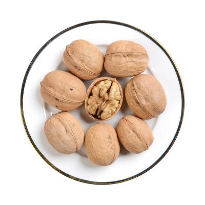 China Good Price Paper Shell Dried Raw Walnuts Dried Peeled Walnut With High Nutrition Organic OEM Nuts Snacks for sale