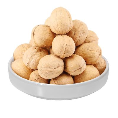 China Easy Chinese Snacks Health Care Supply Nuts In Shell Good Quality Dry Nut Walnut Snacks for sale