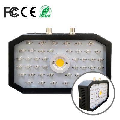 China BLOOM Factory Wholesale Price 1000W LED Grow Light COB Full Spectrum For Indoor Plants for sale