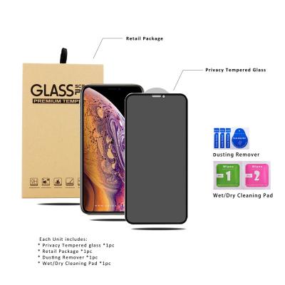 China High Quality Cell Phone Cell Phone Privacy Screen Protectors For Iphone Spy Anti Privacy Screen Glass Tempered Protector For iPhone 12 for sale