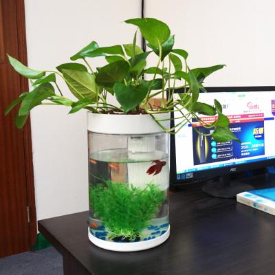 China Viable Bar Counter Aquarium Fish Tank for sale