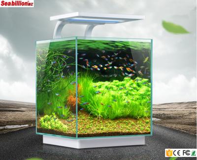 China Acrylic Aquarium Cube Mini Viable Quadrate Aquarium With High Led Light Lamp for sale