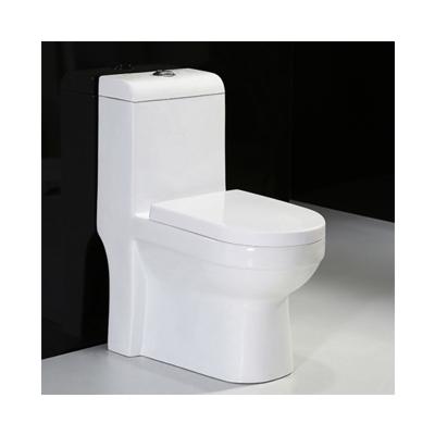 China Double-Flow Inodoros Economics Modernos De Lujo Elongate Wet Room Vaso Sanitario One Piece Toilet for sale