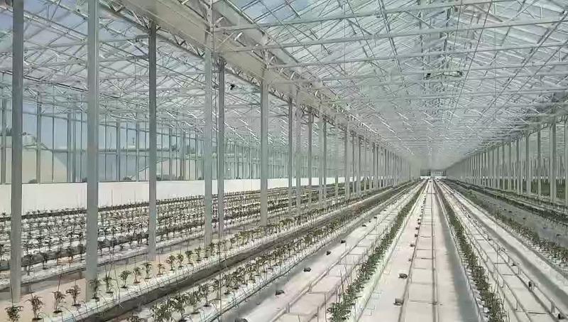 Verified China supplier - Shouguang Zenong Greenhouse Engineering Co., Ltd.