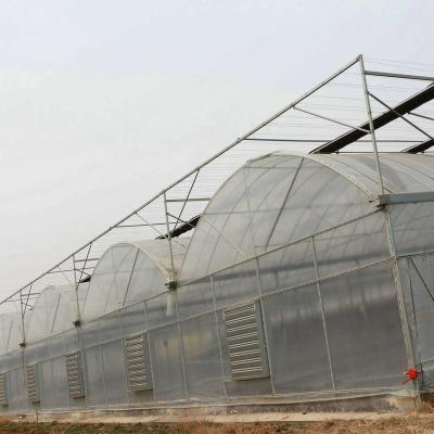 China Stable structure easily assembled modern large span plastic film tunnel agricultural greenhouses for hydroponics for sale