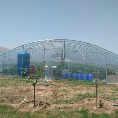 China Arch / Tunnel Type Low Cost Single Span Tunnel Film Greenhouse for sale