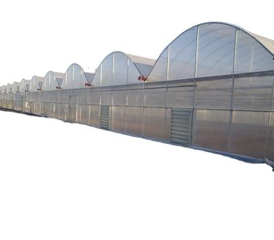 China Stable Structure Easily Assembled Multi Span Hot-dip Galvanized Steel Structure PC/Film Greenhouse For Planting Potato Tomato/Onion/Cucumber for sale