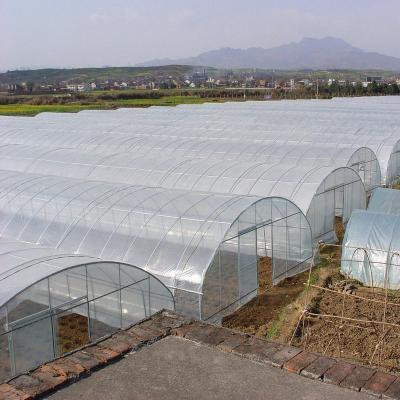 China Stable Structure Easily Assembled China Modern Agricultural Multi Span Plastic Film Tunnel Greenhouses For Planting Hydroponics for sale