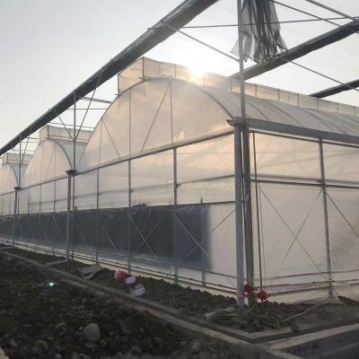 China Venlo Type With Double / Three Ridges High Triangle Cutter For Seed Nursery / Restaurant / Exhibition / Eco Greenhouse for sale