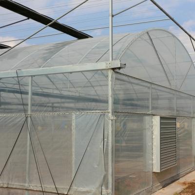 China Stable structure easily assembled sawtooth roof plastic sheet modern agricultural greenhouses invernadero for sale