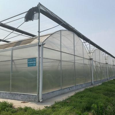 China Stable Structure Easily Assembled Multi Span Invernadero Modern Plastic Film Agricultural Greenhouses for sale