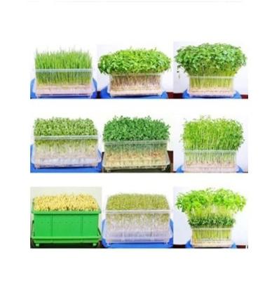 China Stable Structure Easily Assembled Modern Vertical Cultivating For Agriculture Greenhouse Farm For Lettuce/Herbs/Strawberry/Tomato/Leafy Vegetables for sale