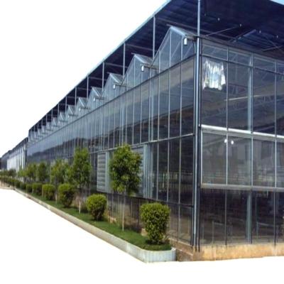 China Hot Galvanized Glass Steel Skeleton Glass Greenhouse For Vegetables/Flowers Seed Breeding for sale