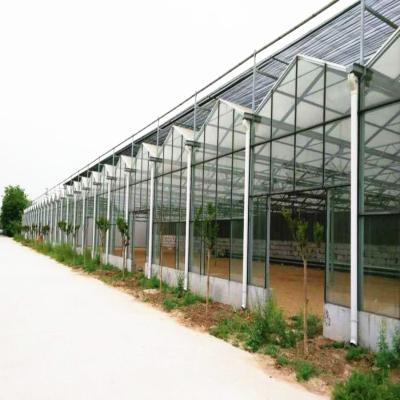 China Easy Installed Galvanized Steel Pipe Assembled Glass Greenhouse For Exhibition / Eco Restaurant / Seed Nursery for sale