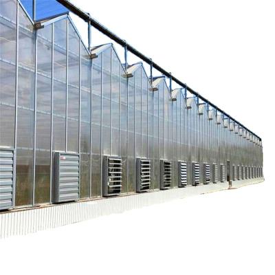 China Modern Agriculture Tempered Glass Glass Greenhouse For Planting/Cultivating/Livestock Breeding/Restaurant for sale