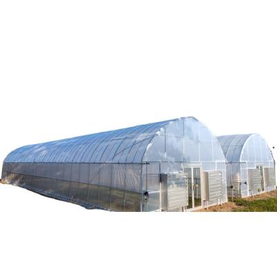 China PE Multi Tunnel Connected Film Agricultural Greenhouse For Growing Vegetables / Flowers / Eco Restaurant for sale