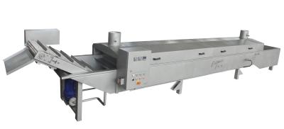 China 780kg Stainless Steel Meatball Rolling Machine With Steam Or Electric Heating for sale