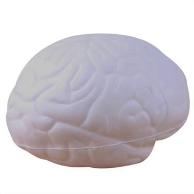 China PU Squishies Medical Antistress Brain Toy Soft Pack Model PU Foam Slow Rising Pu Squishy Teaching Tool La de los Tress de juguete 7.4*5.7*4.8cm for sale