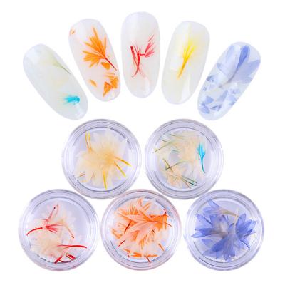 China Easy Apply 12 Colors Nail Art Decorations Natural Dried Flower for sale