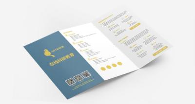 China 800gsm 1000gsm Hardcover Brochure Afdrukken Offset Flyer Afdrukken Te koop