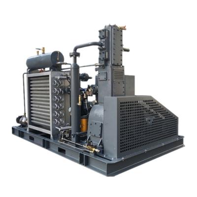 China Energy Saving Oil-free 3Mpa 30 bar high pressure air compressor price for sale