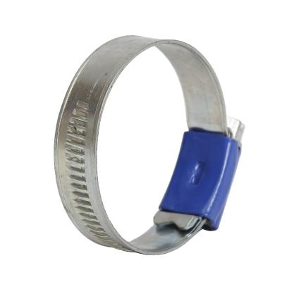 China Stainless steel Best Selling Customize Blue Housing Welding British Pipe Type Hose Clamp for sale