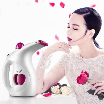 China Fashion Household Portable Electric Hand Steamer Electric Iron Steaming for sale