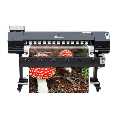 China interior & Mimage 160cm 5ft inkjet printers xp600 outdoor head eco solvent printing machine for sale