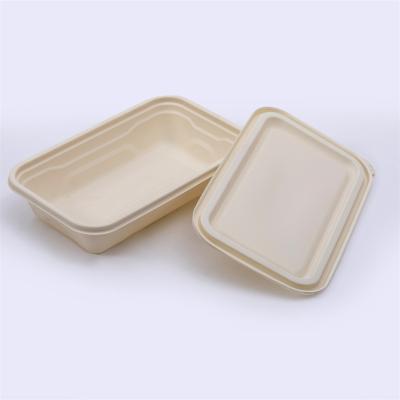 China Disposable Biodegradable Cornstarch Square Food Container Salad Bowl for sale