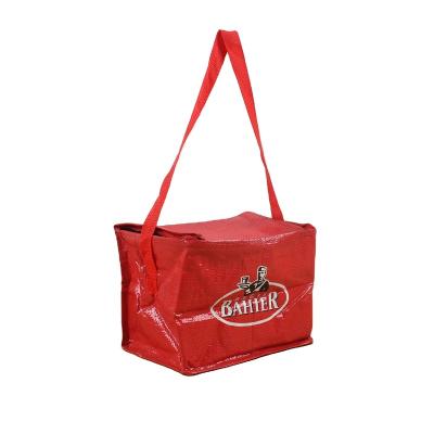 China OEM Waterproof Customized Logo Laminated PP Woven Thermal Insulated Cooler Bags For Boxes for sale