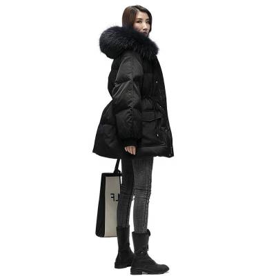 China Sustainable Women's Female Winter Padded Polyester Fabric Stripper Down Jackets And Coats With Fur Hood for sale