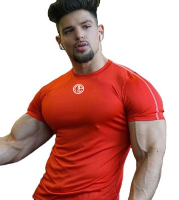 China Custom Slim Comfortable Men's Bodyfit Gym Clothing Breathable Fitness 100% Cotton Plain Tracksuits for sale