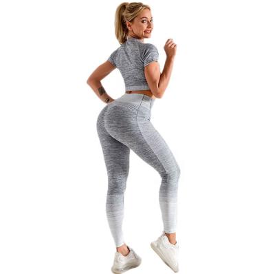 China Breathable Popular Seamless Yoga Suit 5 Piece Sports Shirts Crop Top Gaiters Gym Clothes Fitness Tracksuit Workout Set for sale