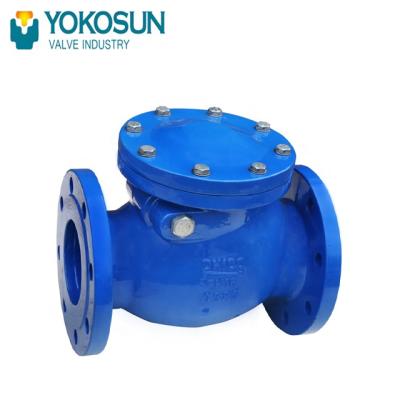 China General Din Swing Check Valve PN16 for sale