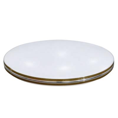 China Surface Mounted Hot Selling Modern Product European Style Round LED Ceiling Light for sale