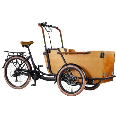 China BODO 250W Steel Motor Cargo Bike 36V lithium battery electric tricycle e-cargo bike for family for sale