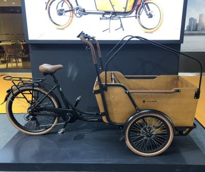 China 250W Steel Electric Cargo Bike 36V13Ah Lithium Battery Tricycle e Cargo Bike For Family for sale